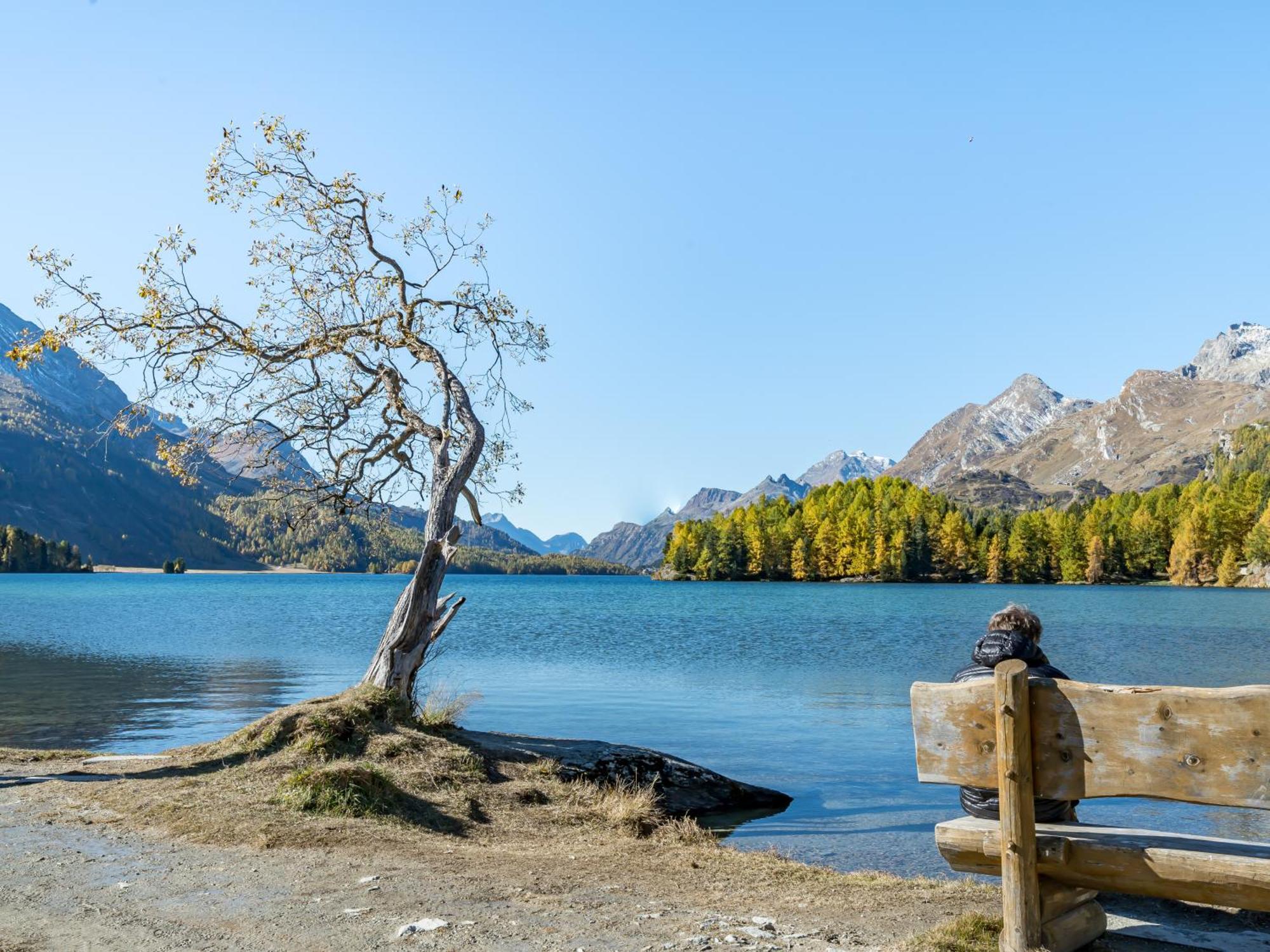 Hotel Chesa Pool Sils Maria Dış mekan fotoğraf